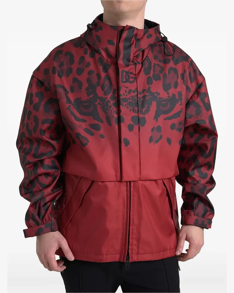 Dolce & Gabbana Tigerauge-Jacke mit Leoparden-Print - Rot Rot