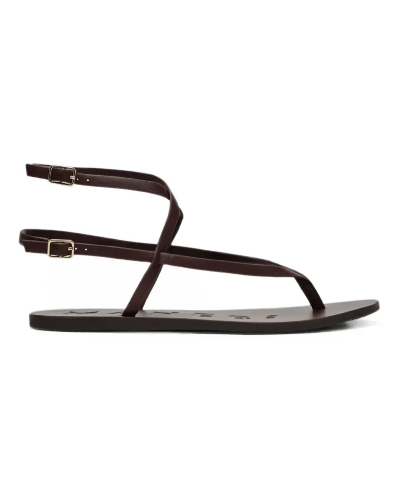 Manebí Sandalen mit Zehensteg - Braun Braun