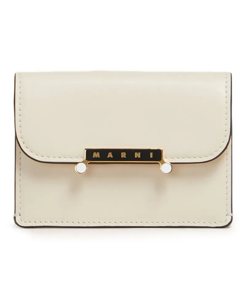 Marni Portemonnaie aus Leder - Nude Nude