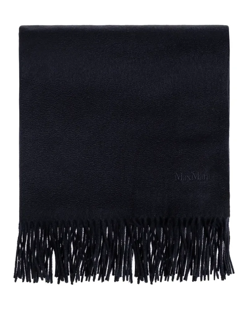 Max Mara fringed logo-embroidered scarf - Blau Blau