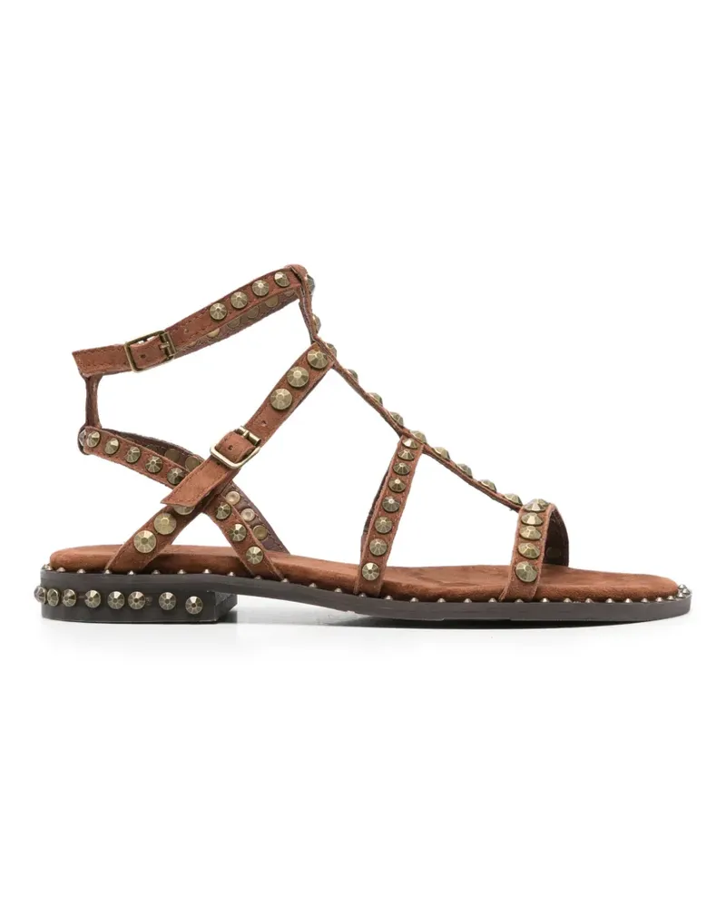 ash Precious leather sandals - Braun Braun