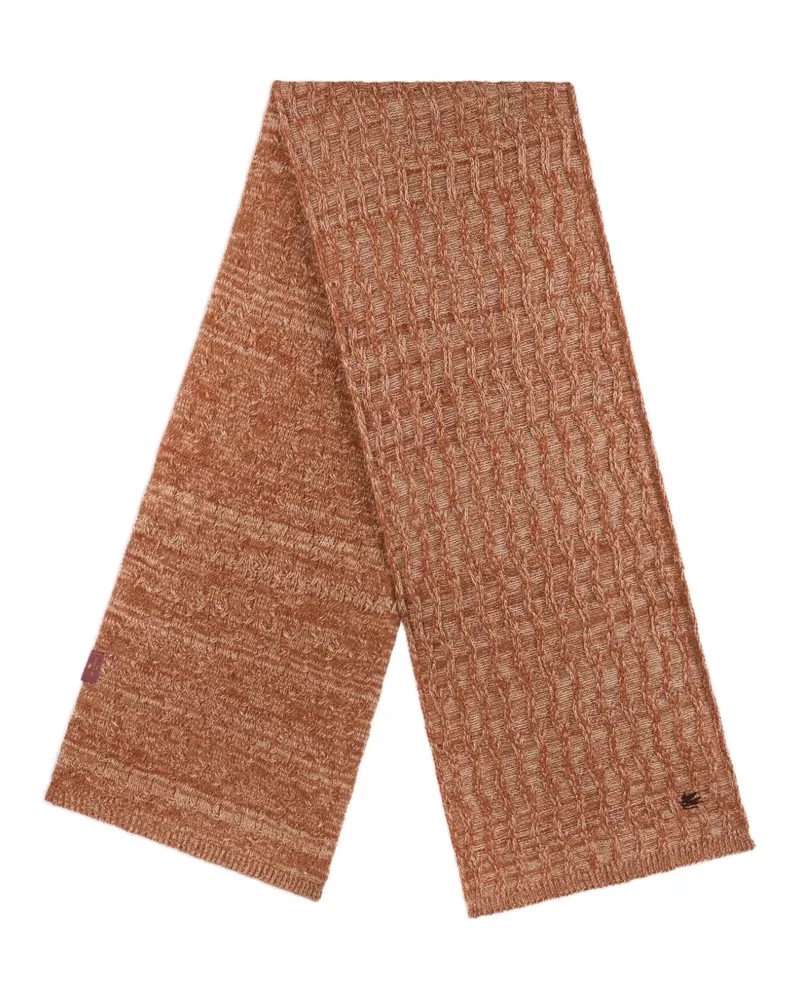 Etro Kaschmirschal mit Zopfmuster - Braun Braun