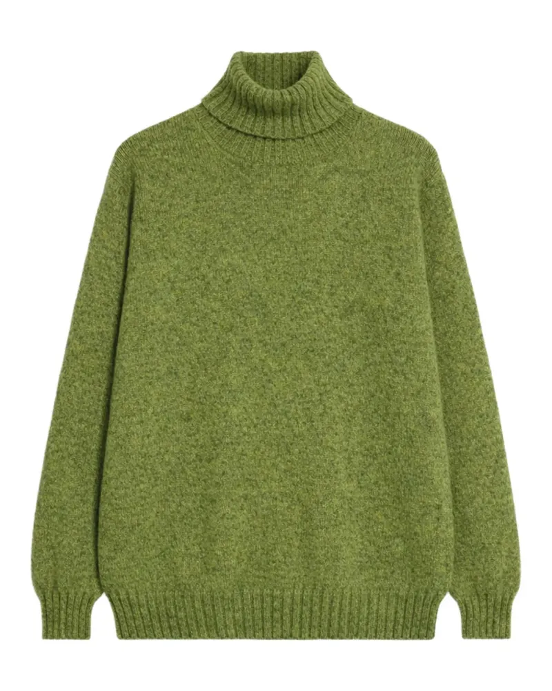 Fortela Shetland Rollkragenpullover - Grün Grün