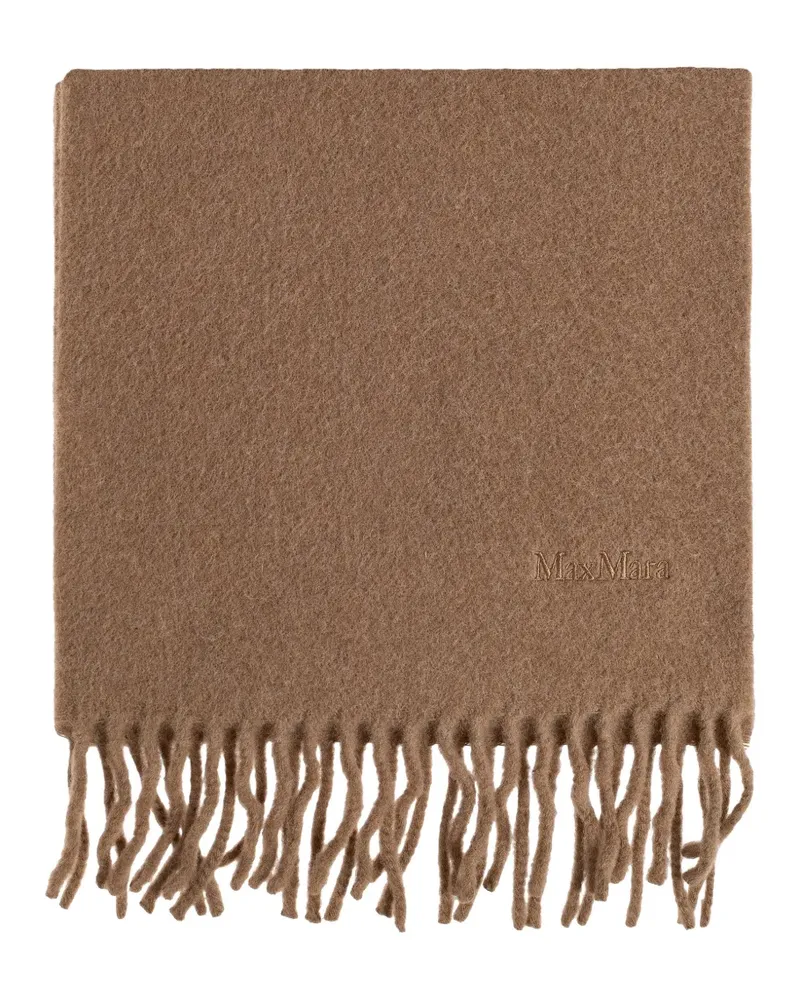 Max Mara Fragore fringed logo-embroidered scarf - Braun Braun
