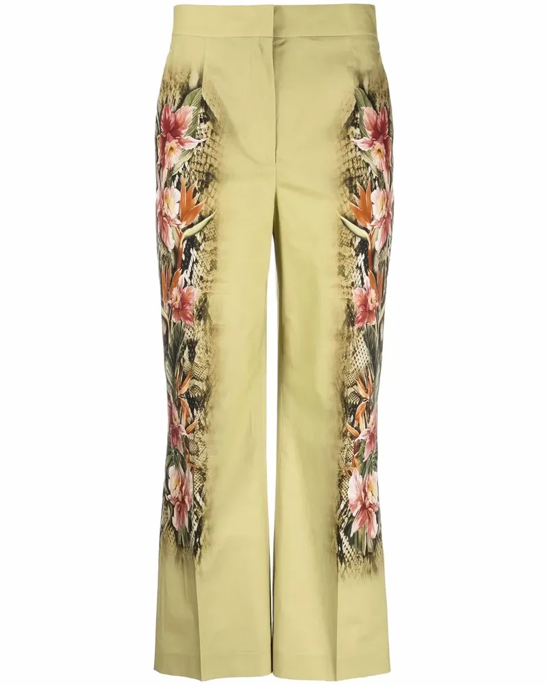 Alberta Ferretti Hose mit Print - Grün Grün