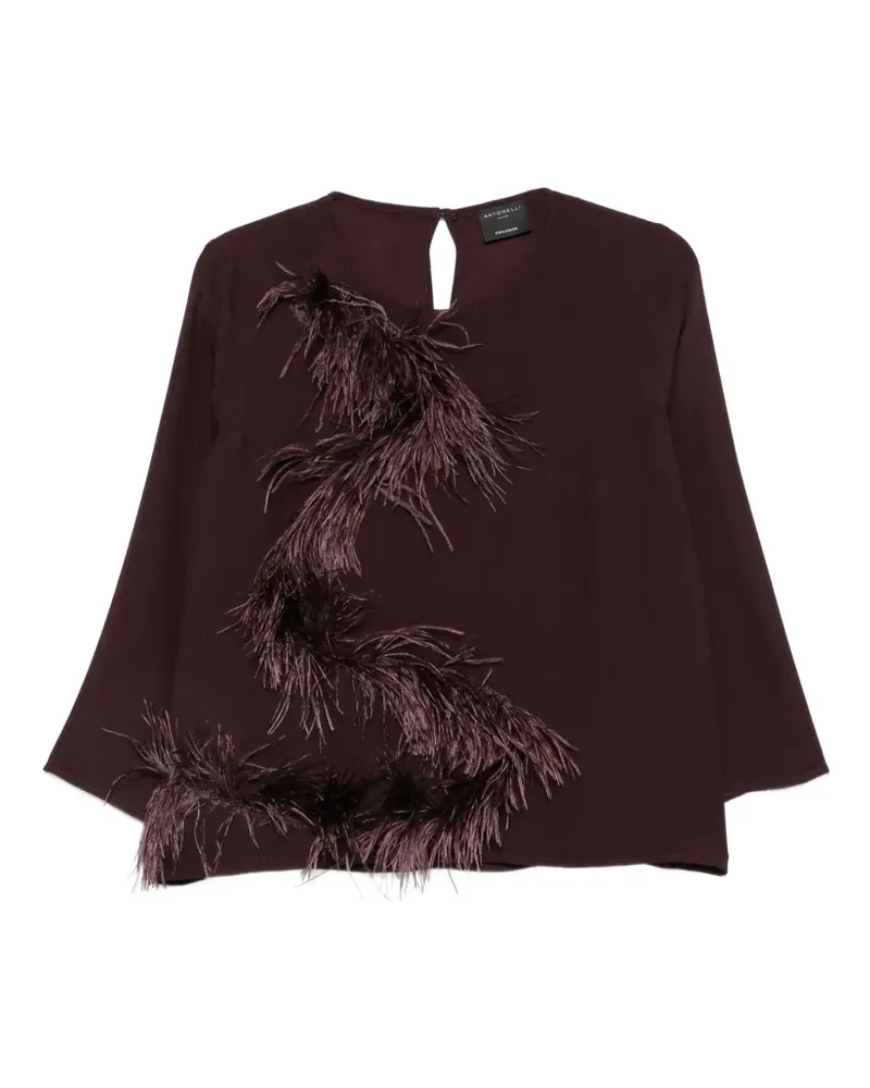 Antonelli Firenze feather-trim long-sleeve top - Braun Braun