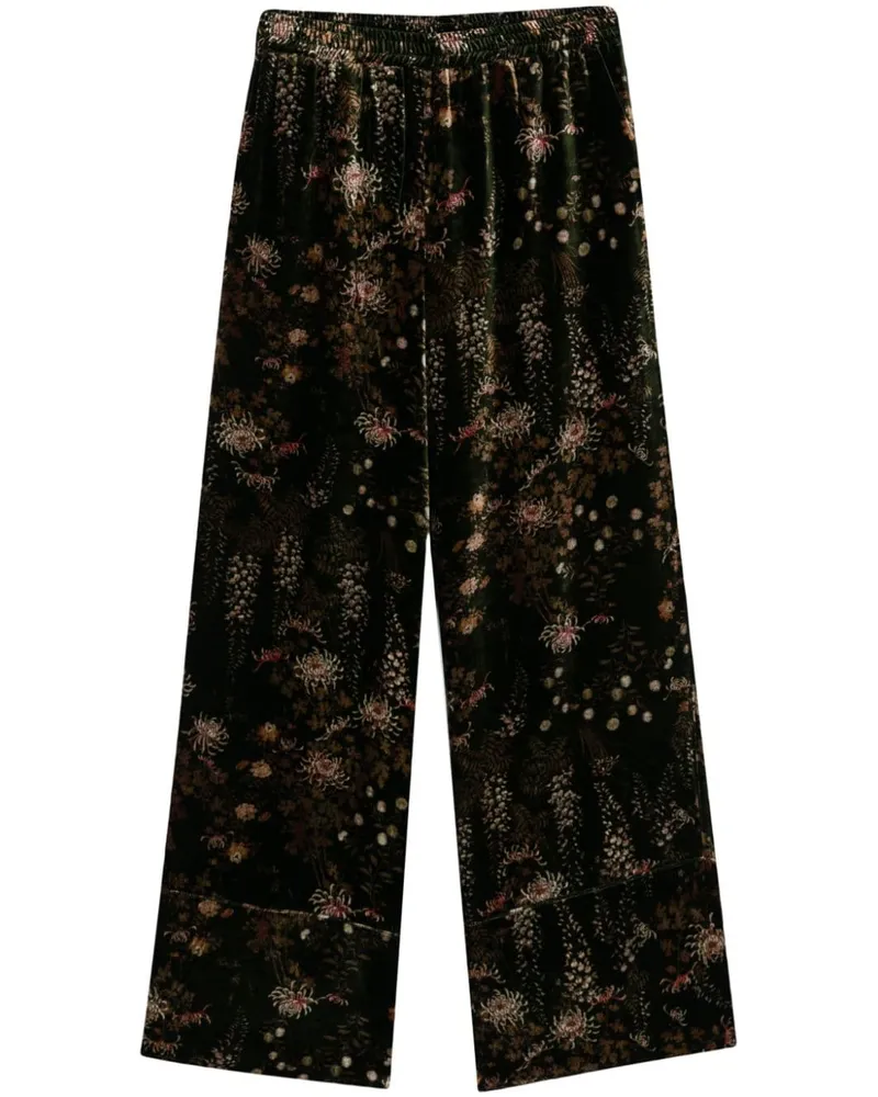 Pierre-Louis Mascia Kanada Hose - Grün Grün