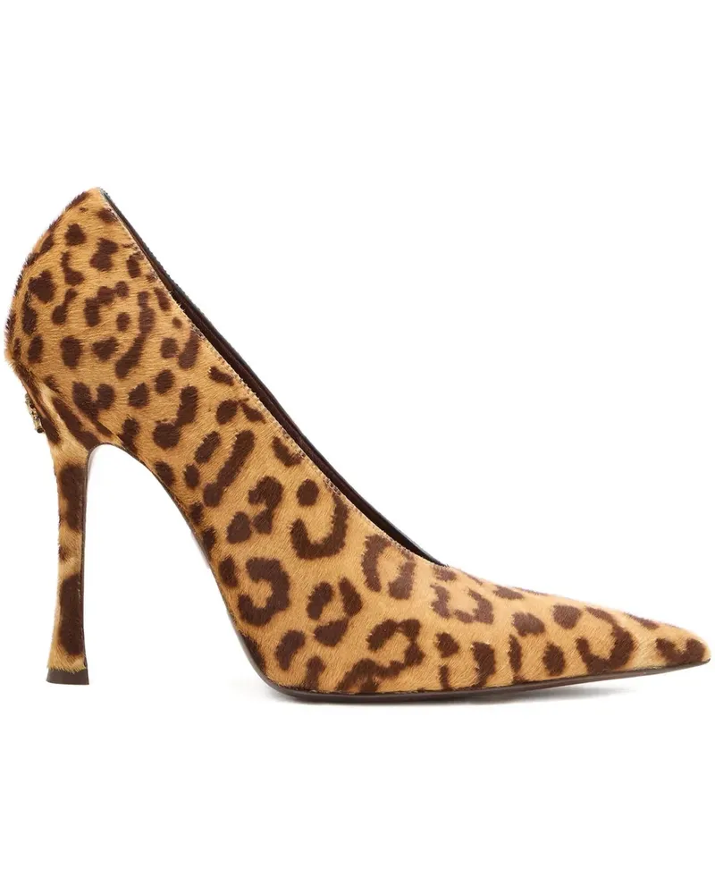 Roberto Cavalli Pumps mit Leoparden-Print - Braun Braun