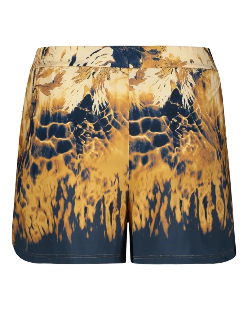 Alberta Ferretti Abstrakte Shorts mit abgerundetem Saum - Braun Braun