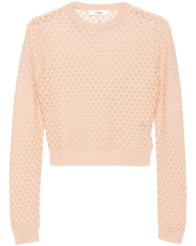 Chloé Cropped-Pullover in Pointelle-Strick - Nude Nude