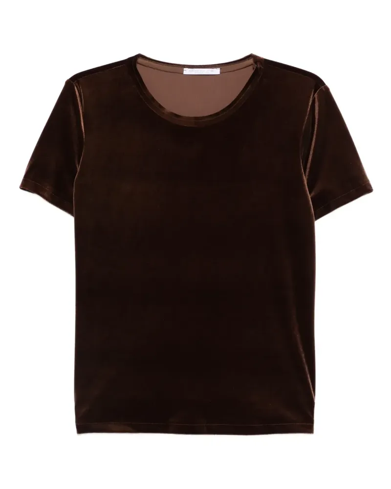 CENERE GB T-Shirt aus Samt - Braun Braun