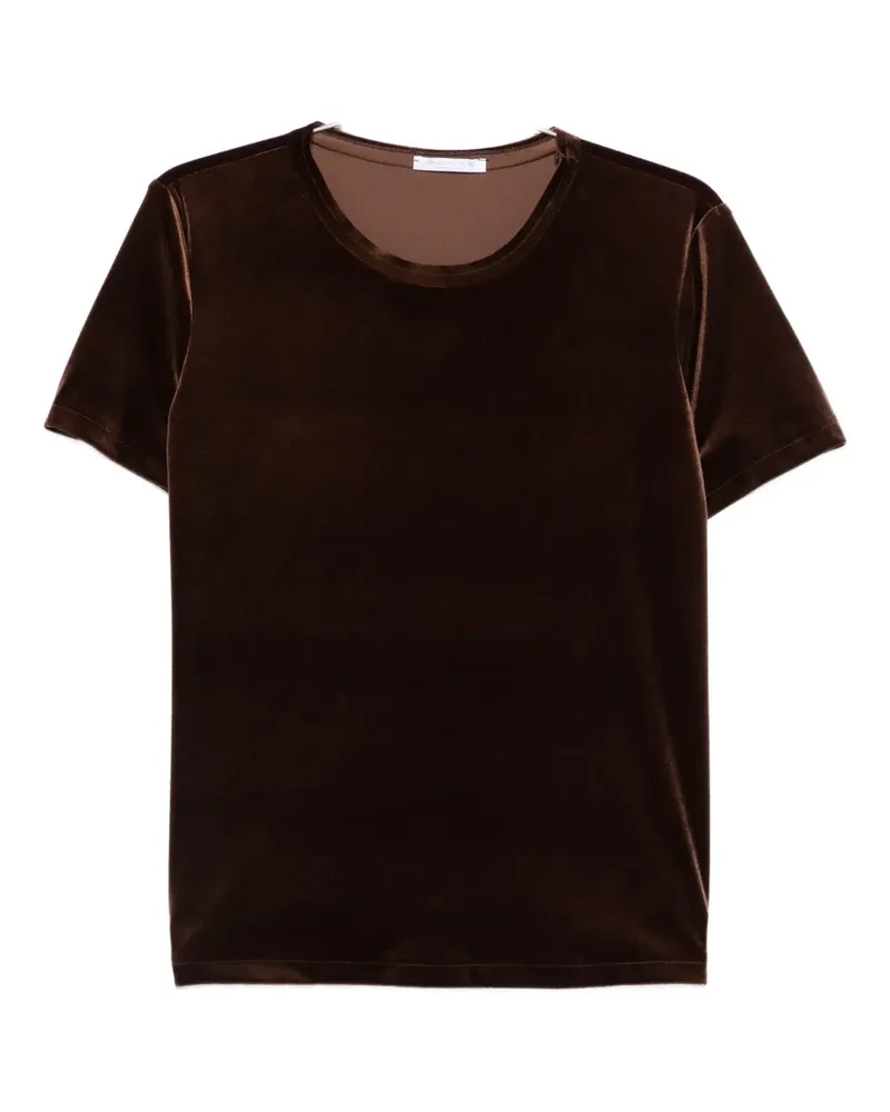 CENERE GB velvet t-shirt - Braun Braun