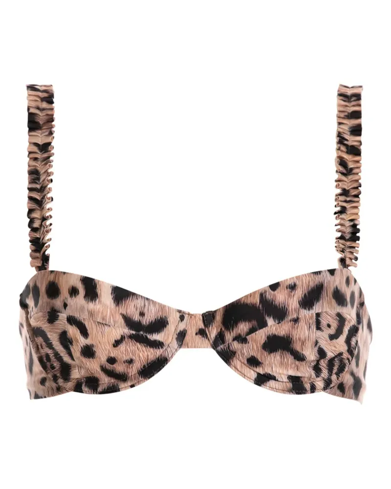 AGUA BENDITA Bikinioberteil mit Leoparden-Print - Braun Braun