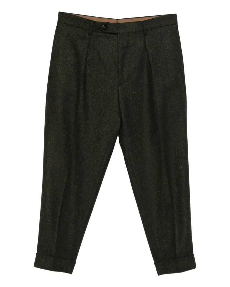 Berwich Chiaia Hose mit Falten - Grün Grün