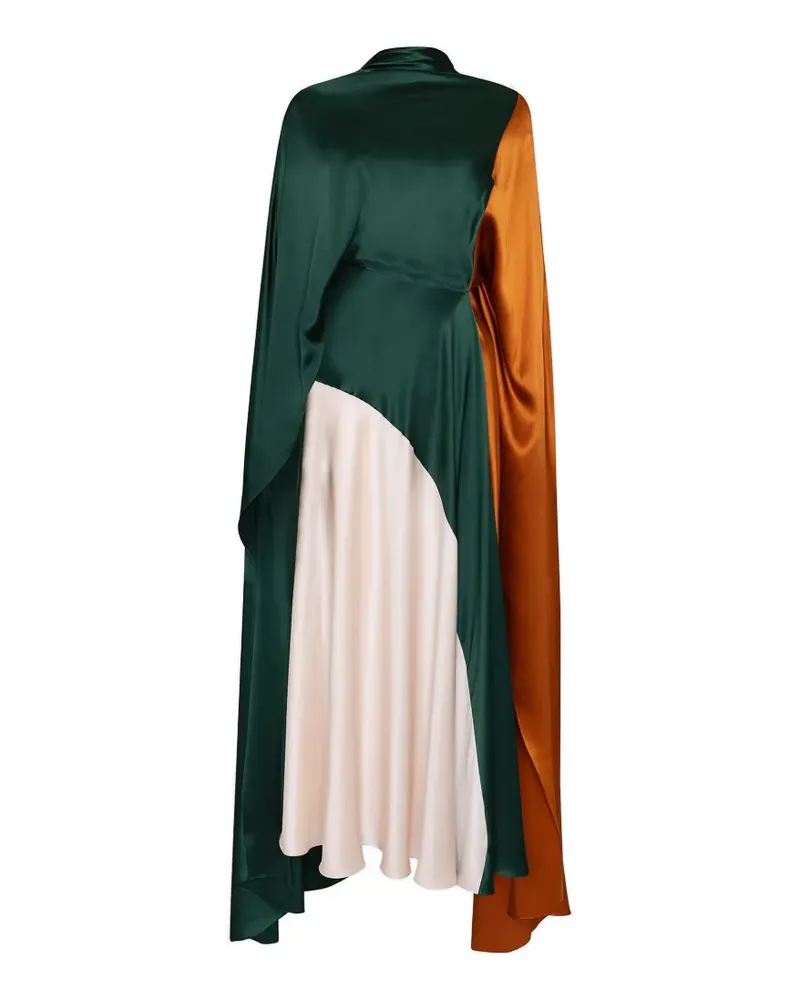 Roksanda Ilincic Andromeda colour-block maxi dress - Grün Grün