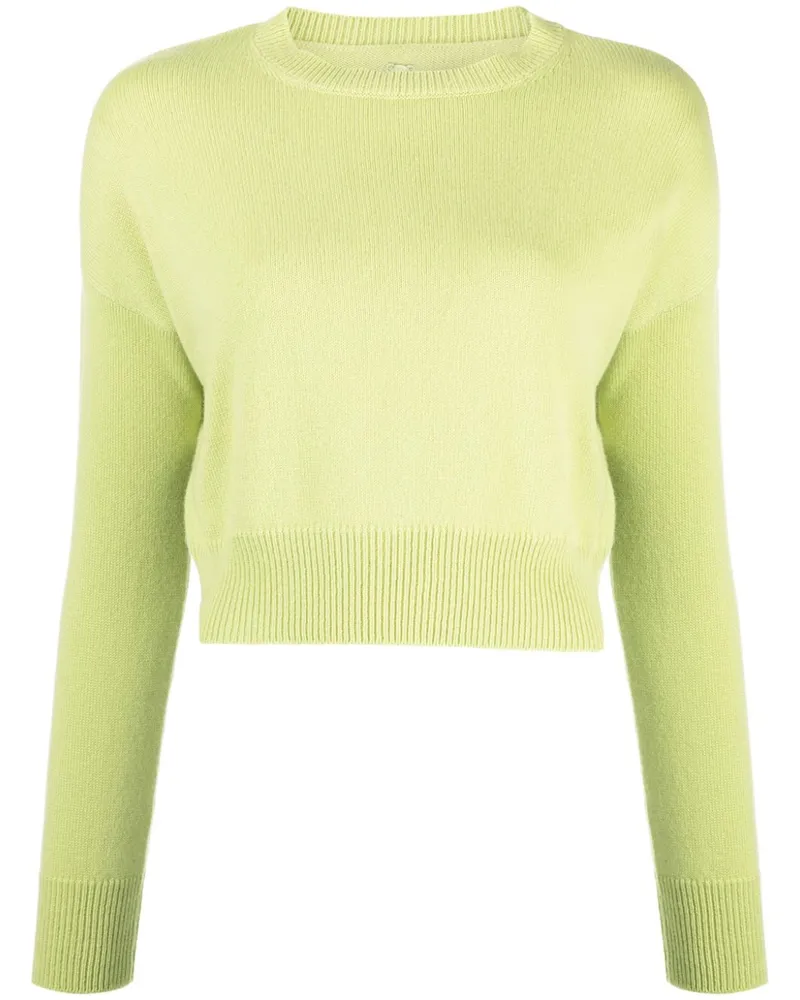 Teddy Cashmere Genova Cropped-Pullover aus Kaschmir - Grün Grün