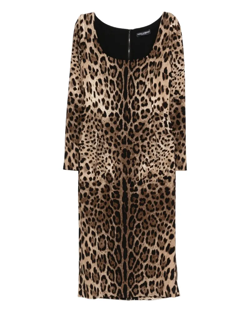 Dolce & Gabbana animal-print dress - Braun Braun