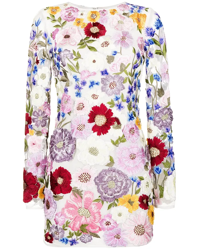 Rachel Gilbert Minikleid mit Blumenstickerei - Mehrfarbig Mehrfarbig