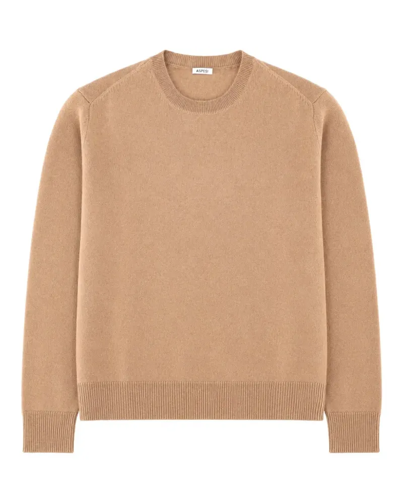 ASPESI Pullover mit Rundhalsausschnitt - Braun Braun