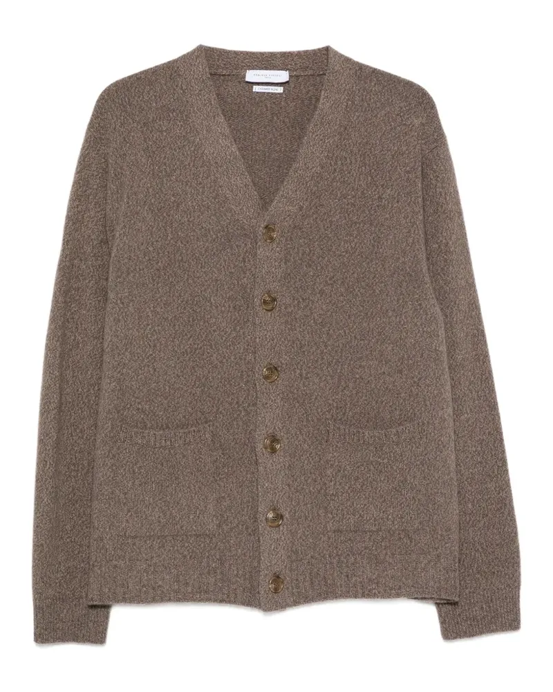 Daniele Fiesoli Cardigan mit V-Ausschnitt - Braun Braun
