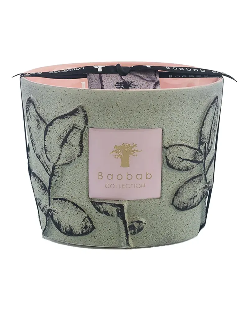 Baobab Collection Dekorative Folia Maquis Duftkerze (1,3kg) - Grün Grün