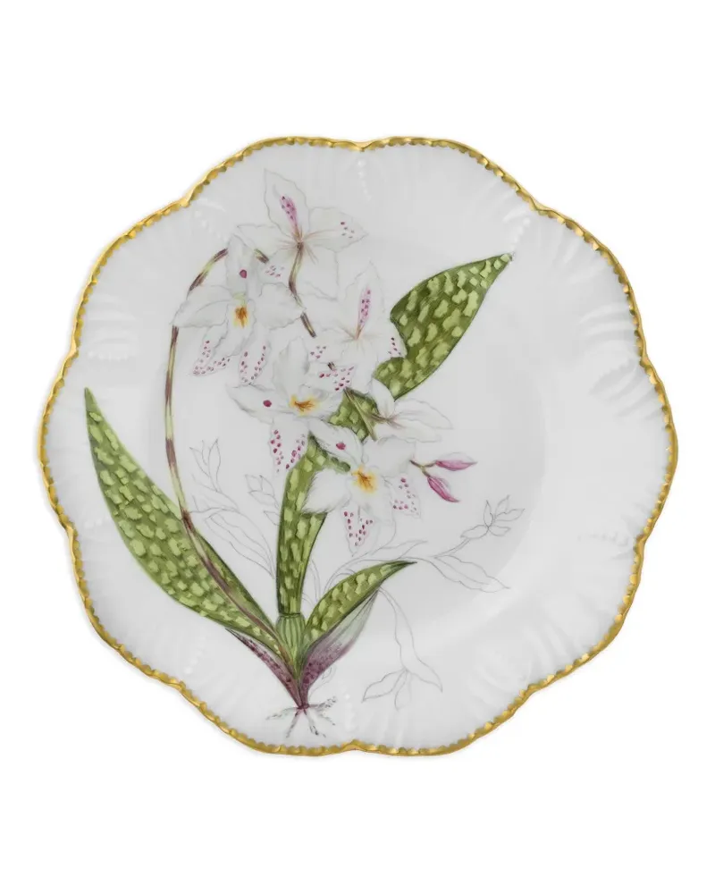 Pinto Paris Histoires D'orchidees Teller 26cm - Weiß Weiß