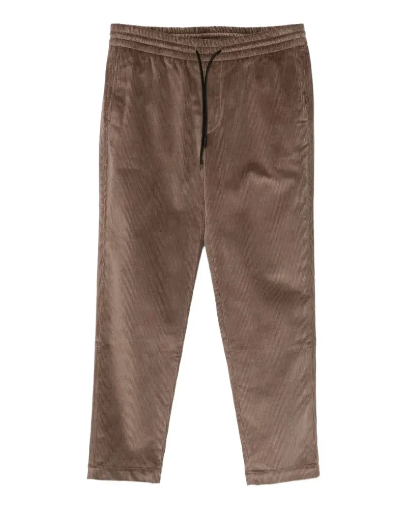 SEASE Mindset Hose - Braun Braun