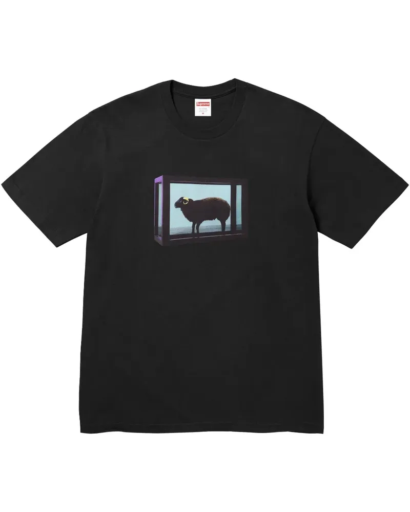 Supreme Being x Damien Hirst T-Shirt mit Print - Schwarz Schwarz
