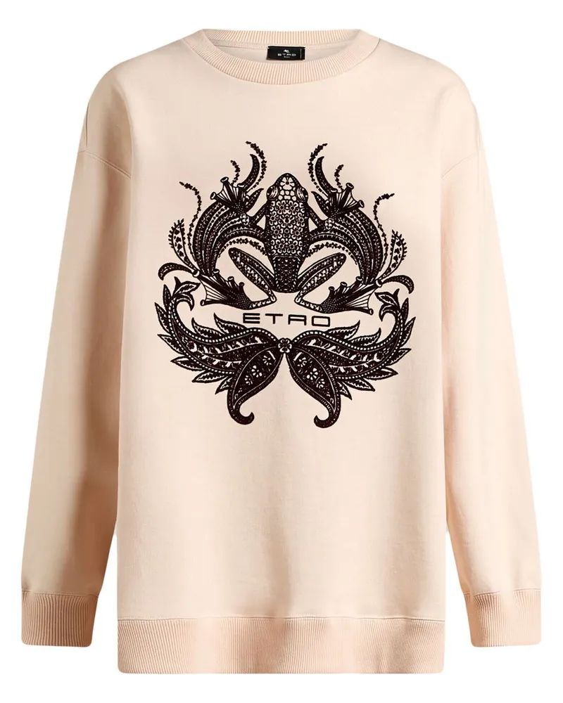 Etro Sweatshirt mit beflocktem Print - Nude Nude