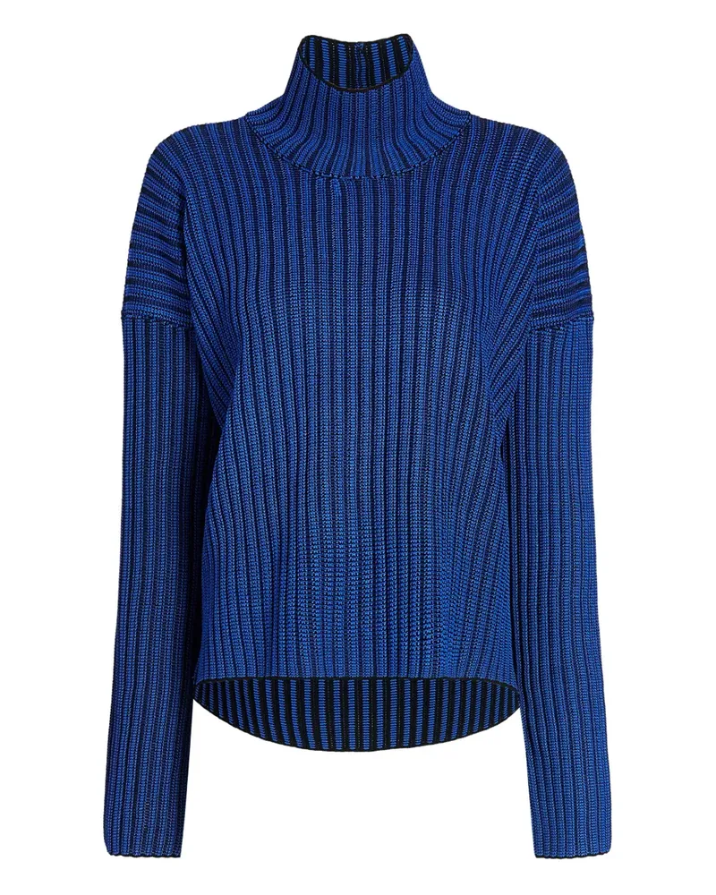 Proenza Schouler Elysia Pullover mit Streifen - Blau Blau