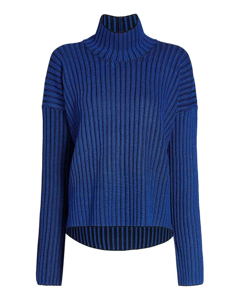 Proenza Schouler Elysia Pullover mit Streifen - Blau Blau