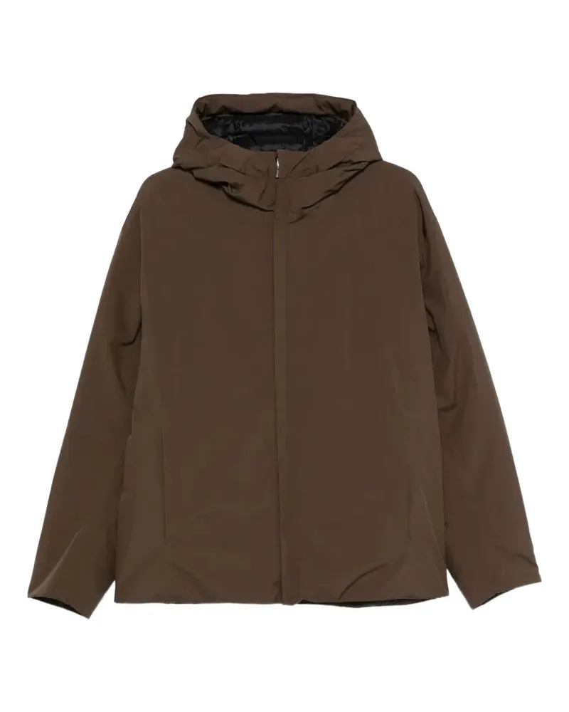 Herno 8800000686608 Verde - Braun Braun