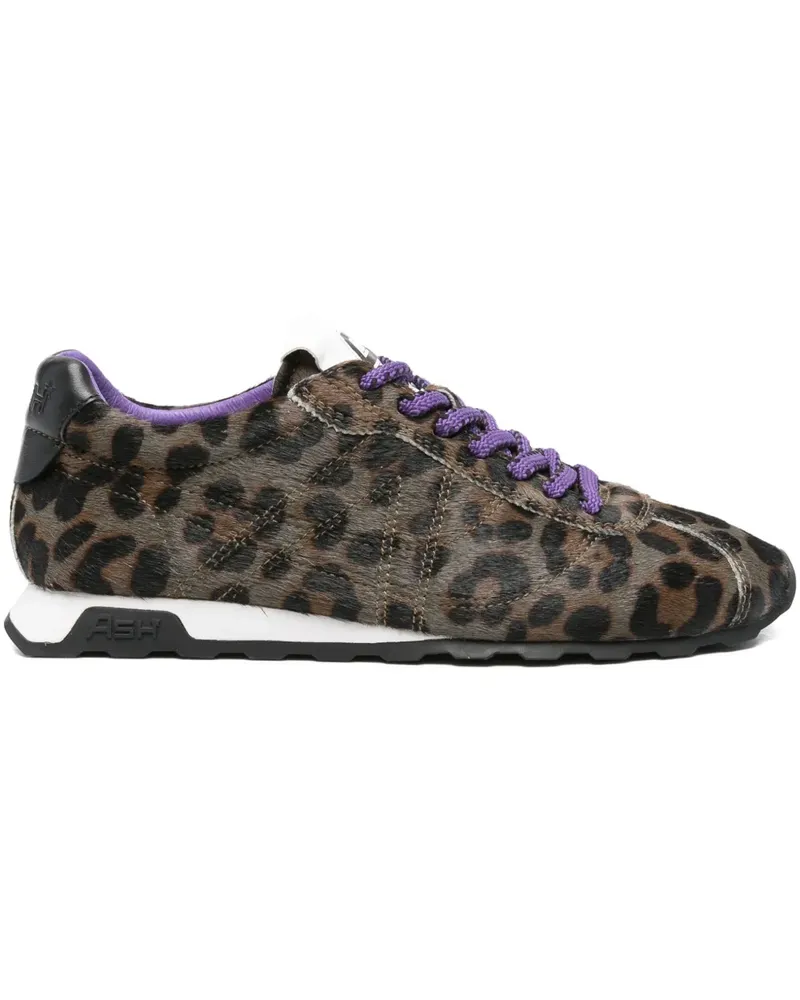 ash Kill Bill Sneakers mit Leopardenmuster - Braun Braun