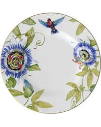 Villeroy & Boch 6er-Set Amazonia Amnut Porzellanteller Weiß