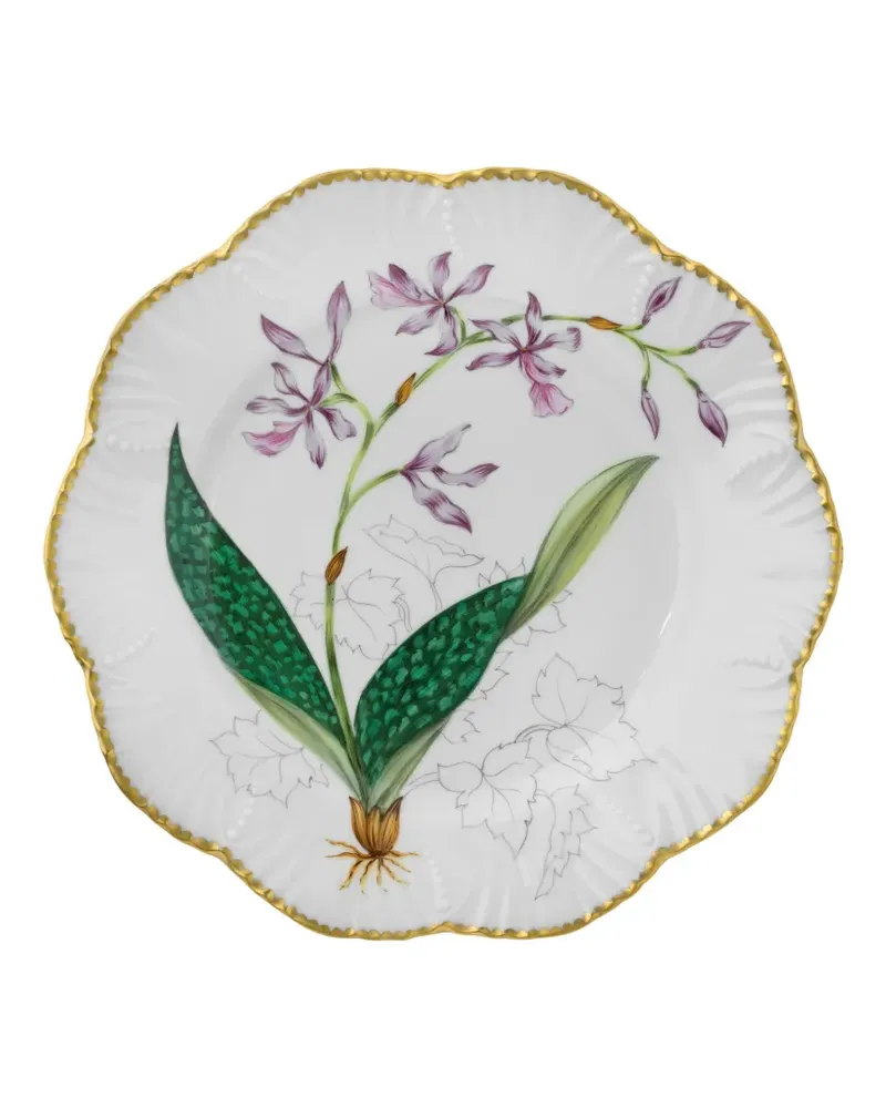 Pinto Paris Histoires D'orchidees Teller 16cm - Weiß Weiß