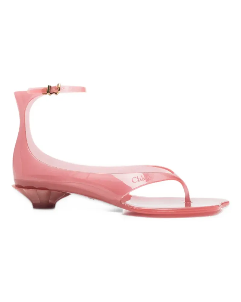 Chloé Jelly Sandalen mit Schnallenverschluss - Rosa Rosa