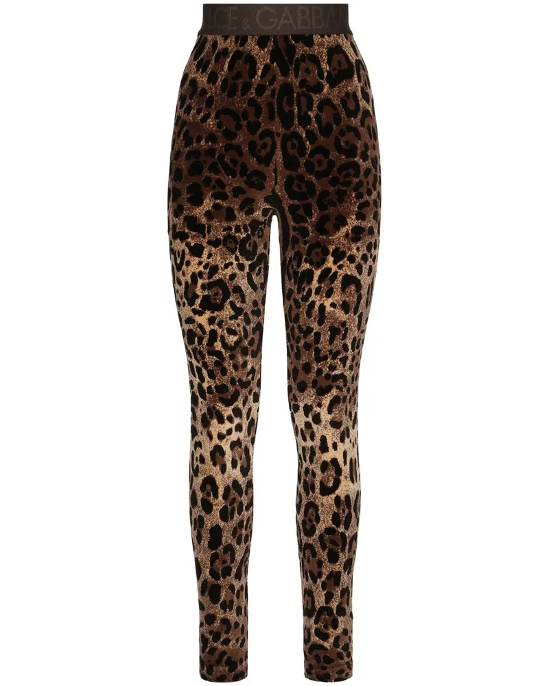 Dolce & Gabbana Leggings mit Leoparden-Print - Braun Braun