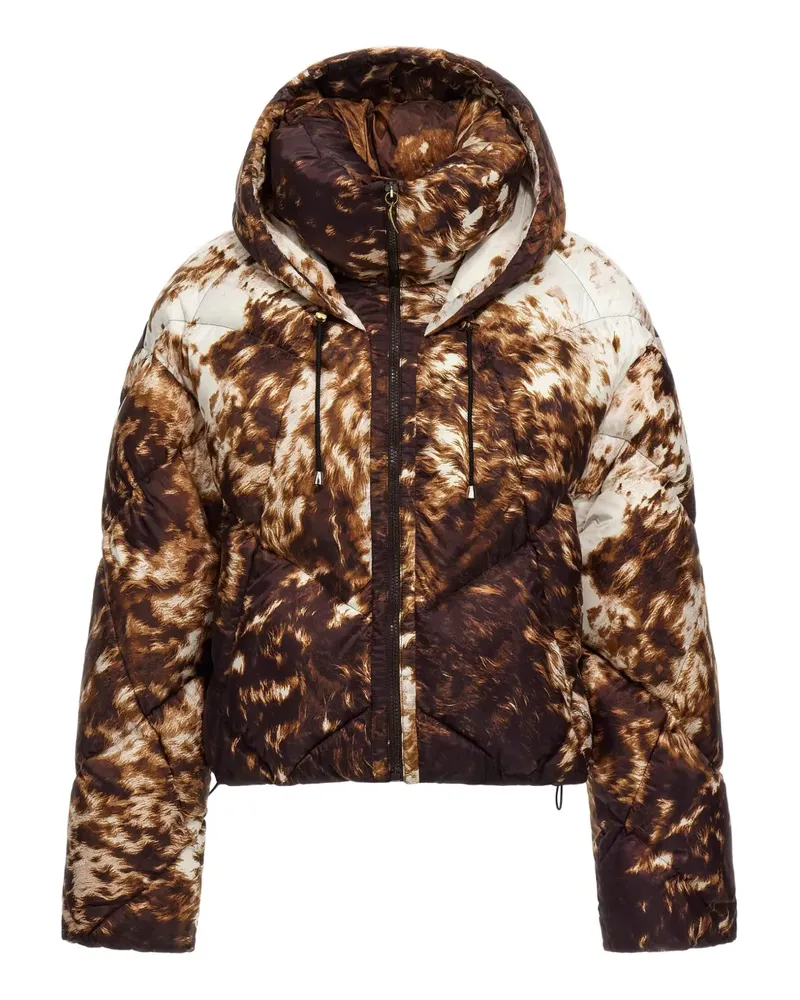 Roberto Cavalli appaloosa-print puffer jacket - Braun Braun