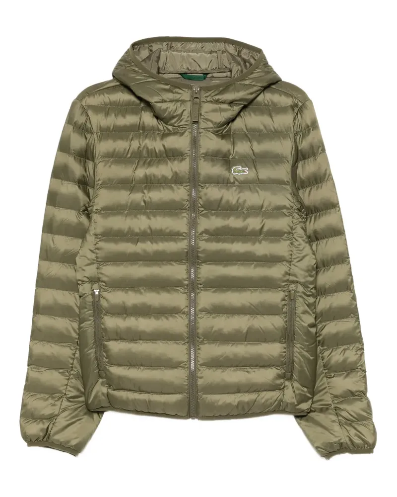 Lacoste Gesteppte Kapuzenjacke - Grün Grün