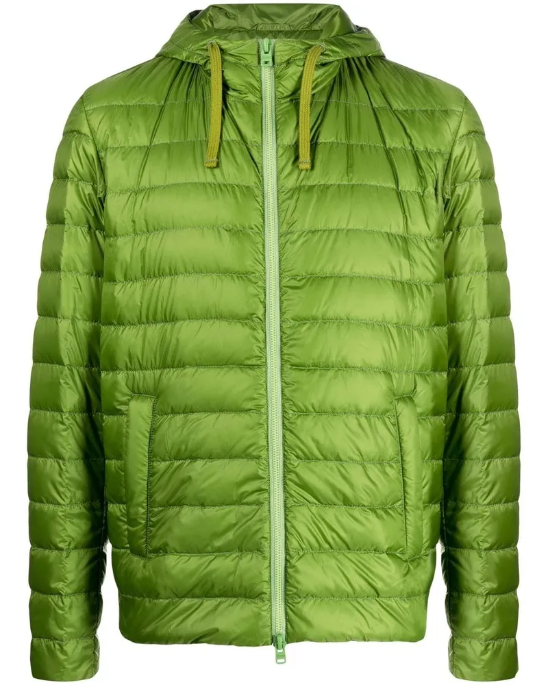 Herno Gefütterte Globe Kapuzenjacke - Grün Grün