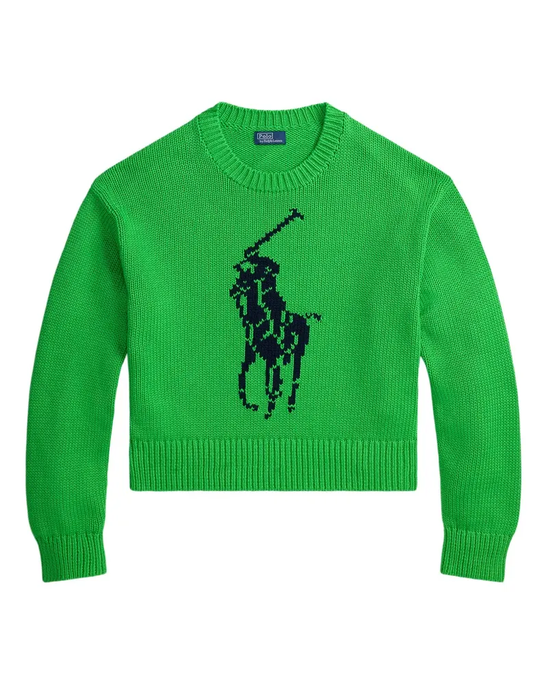 Ralph Lauren Pullover mit grafischem Print - Grün Grün
