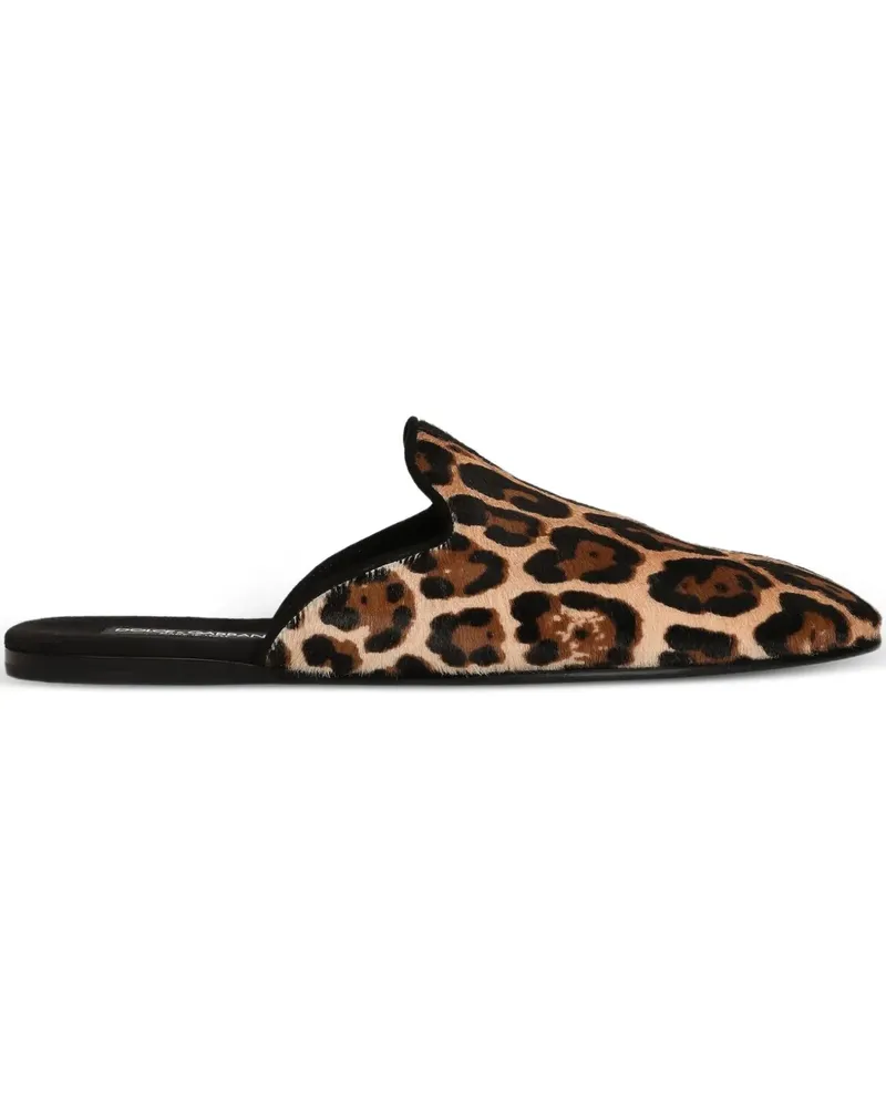Dolce & Gabbana Flache Mules mit Leoparden-Print - Braun Braun