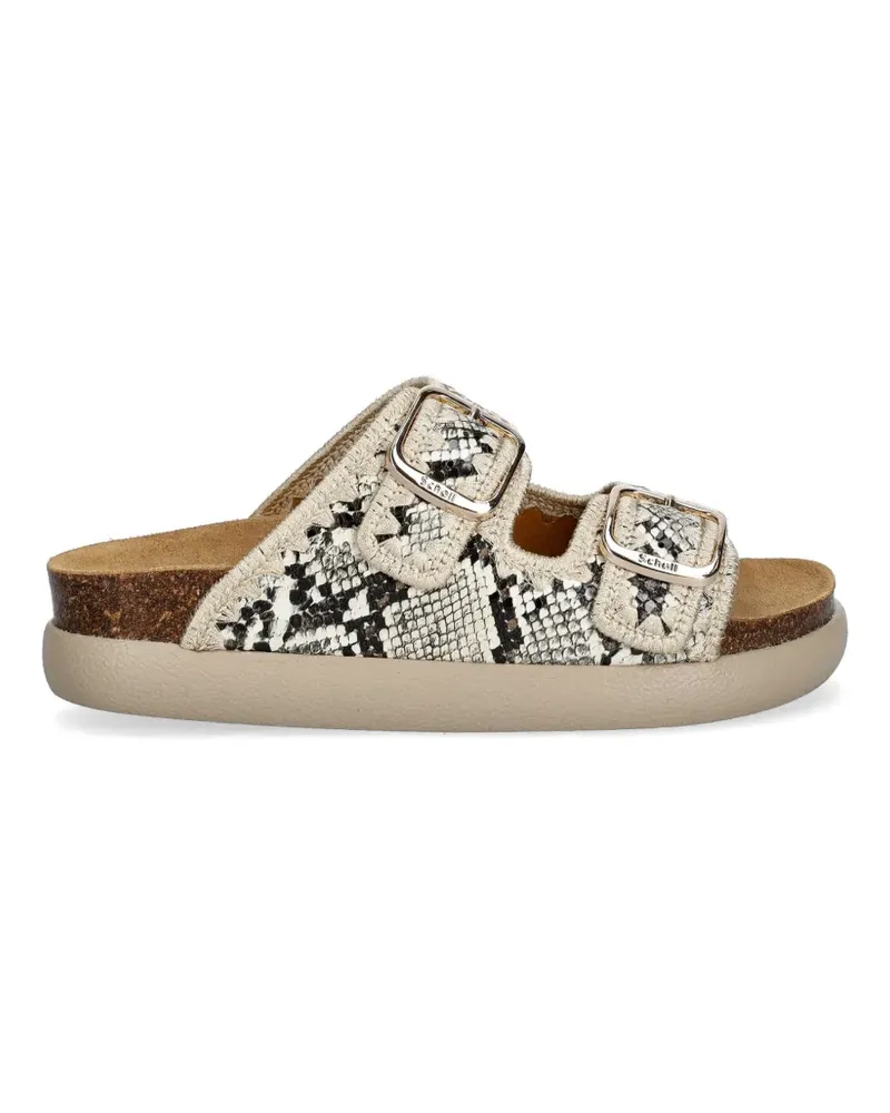 Scholl Noelle Sandalen mit Schnalle - Nude Nude