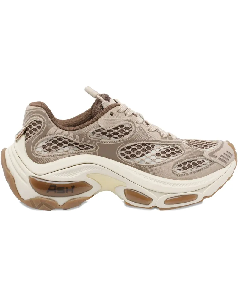 ash Dragon Sneakers - Nude Nude
