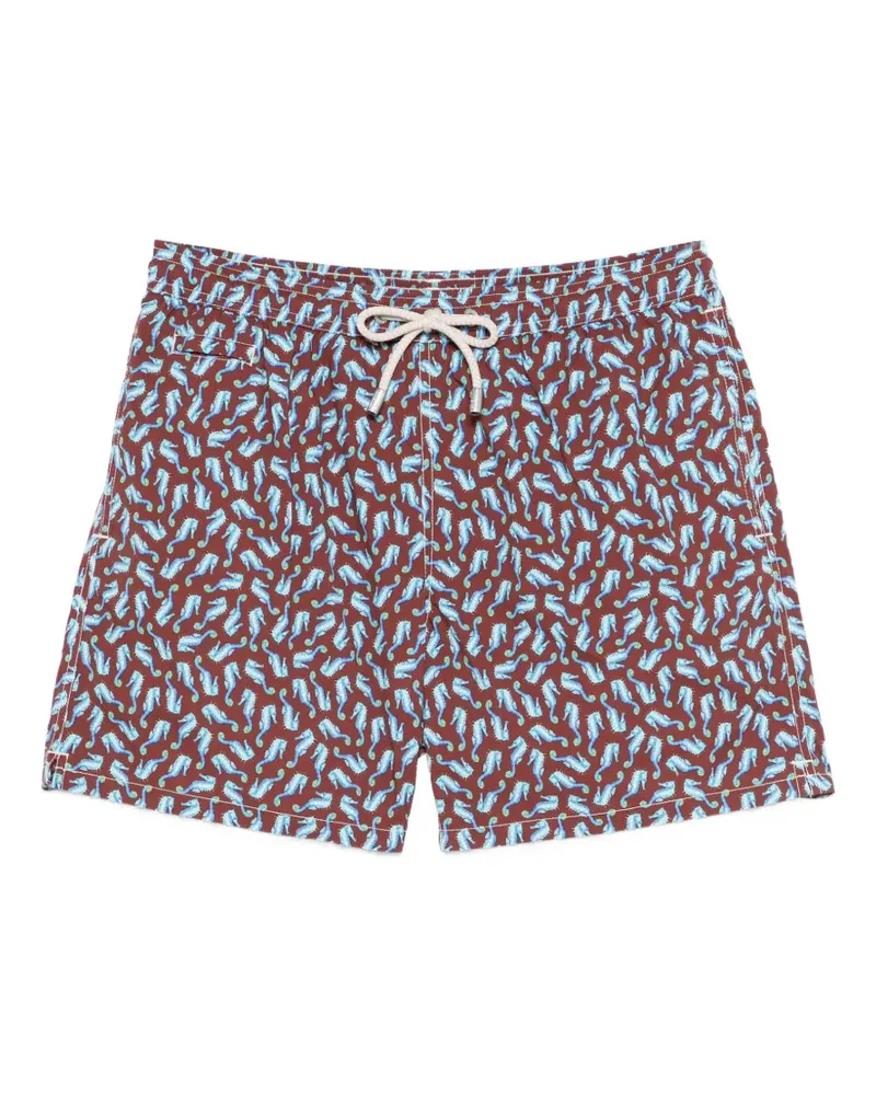 MC2 Saint Barth Badeshorts mit Seepferdchen-Print - Braun Braun