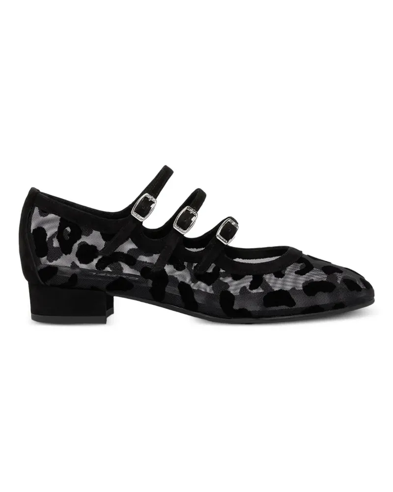 Carel Ariana Ballerinas mit Leopardenmuster - Schwarz Schwarz