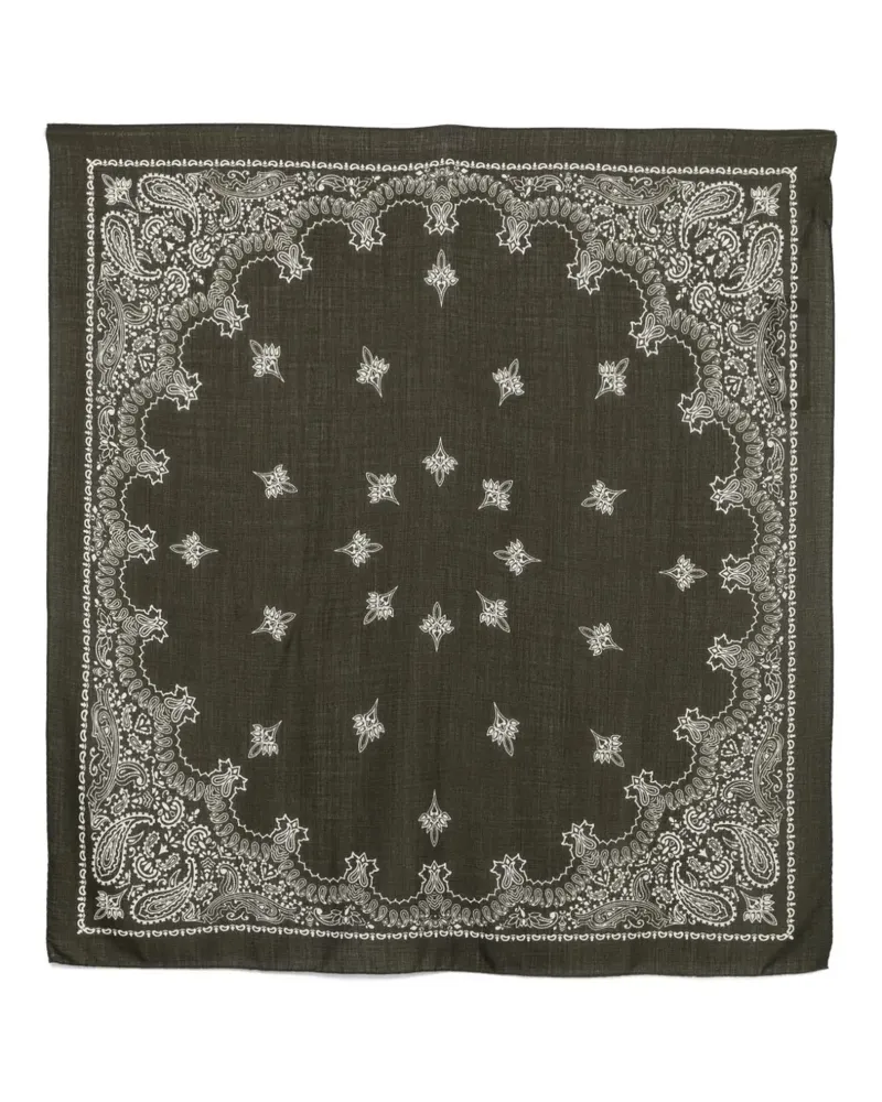 CENERE GB Ash Schal mit Paisley-Print - Grün Grün