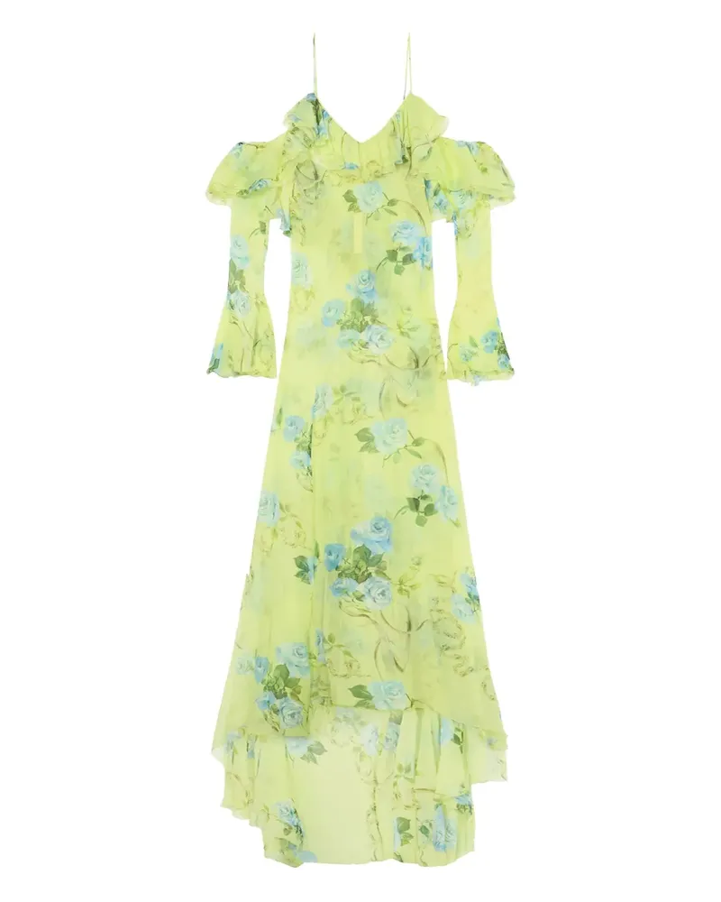 Blumarine Geblümtes Maxikleid mit Volants - Grün Grün