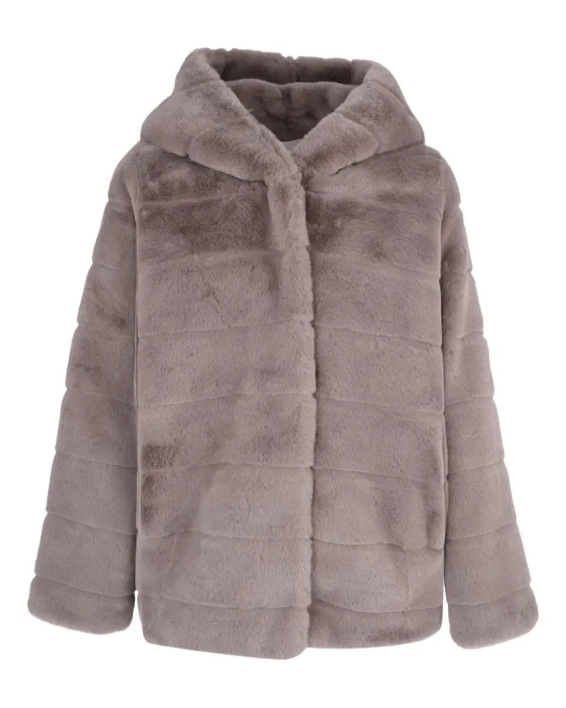 APPARIS Goldy jacket - Grau Grau