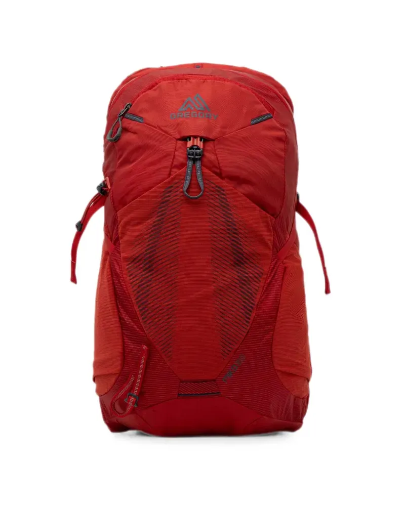 Gregory Miko 20 backpack - Rot Rot